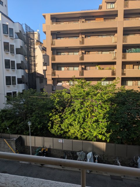 眺望