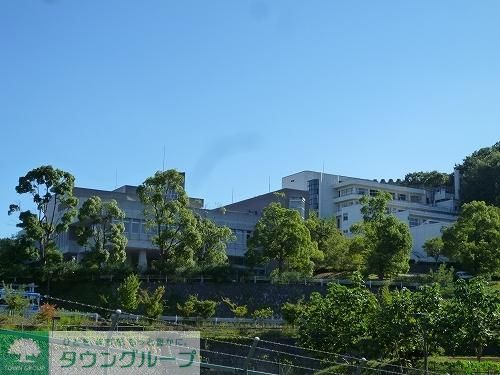 その他　多摩美術大学（その他）まで1700m