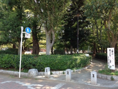 その他　板橋区平和公園（その他）まで528m