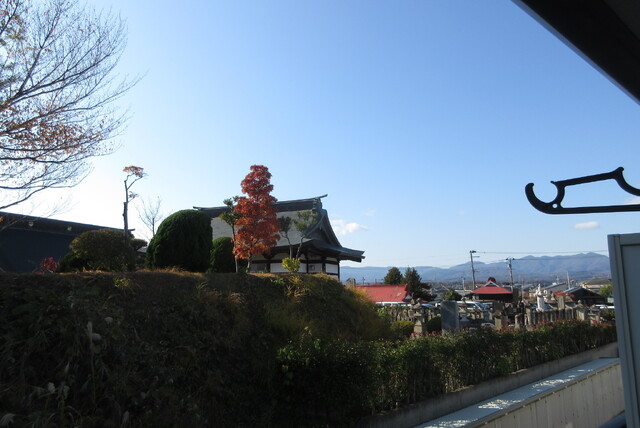 眺望　バルコニーからの景色