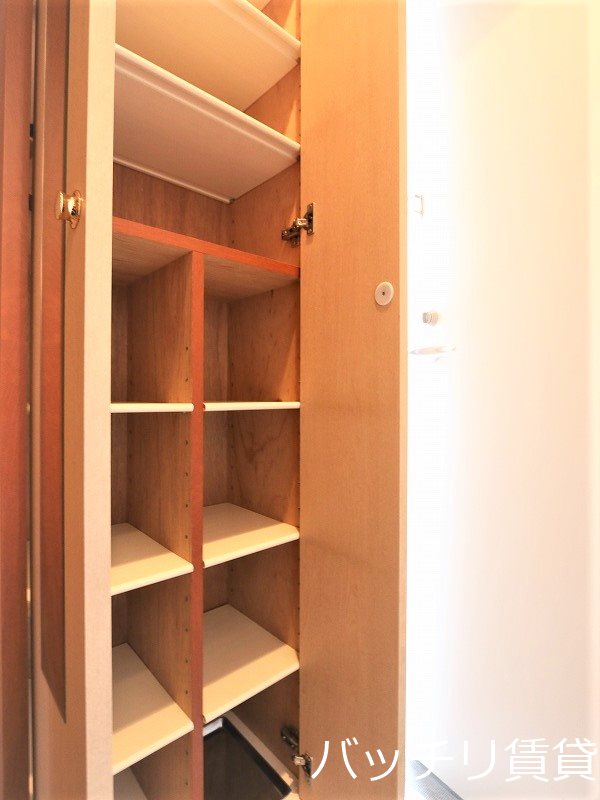 玄関　画像は別号室イメージの為、現況を優先いたします。