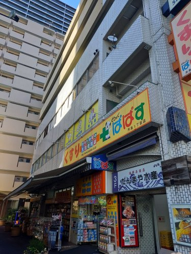 ドラックストア　どらっぐぱぱす 月島1丁目店（ドラッグストア）まで330m