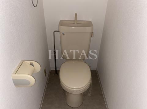 トイレ　同物件別部屋です。