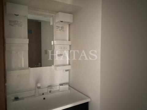 洗面設備　同物件別部屋です。