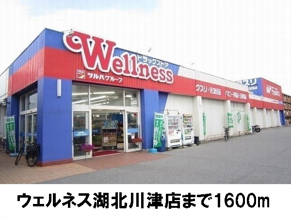 ドラックストア　ウェルネス川津店（ドラッグストア）まで1600m