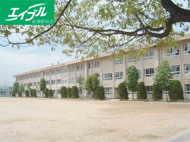 小学校　倉敷市立中島小学校（小学校）まで795m