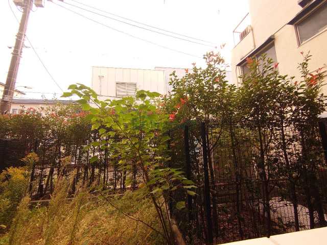 眺望　別部屋参考写真