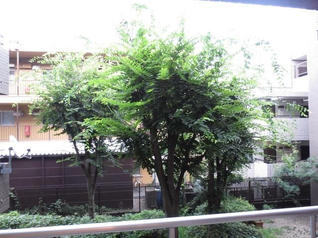 眺望　★眺望★
