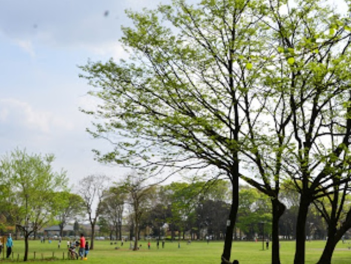 公園　小金井公園（公園）まで1000m