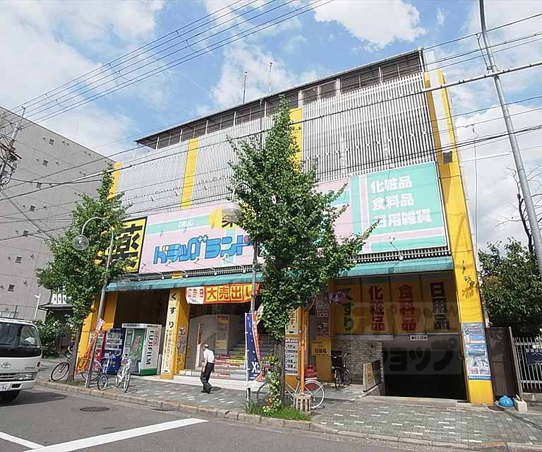 ドラックストア　ドラッグランドヒカリ　千本寺ノ内店（ドラッグストア）まで300m