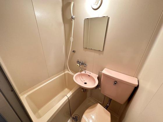 バス・シャワールーム　※別部屋の写真です