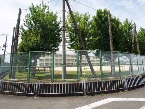 小学校　土師小学校（小学校）まで734m