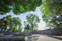 公園　十三公園（公園）まで641m