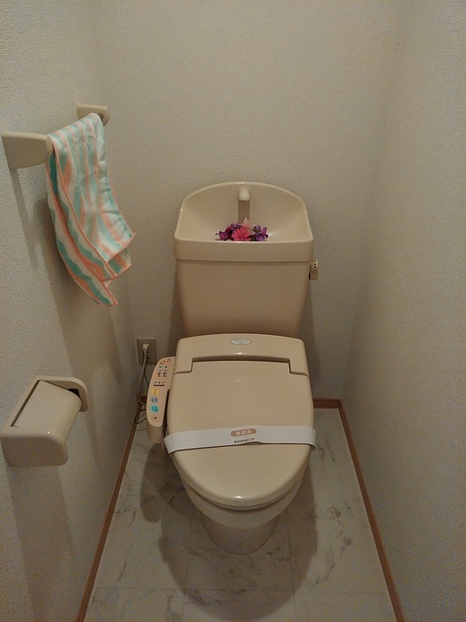 ソレイユ寿のトイレ写真