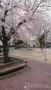公園　多幸公園（公園）まで350m