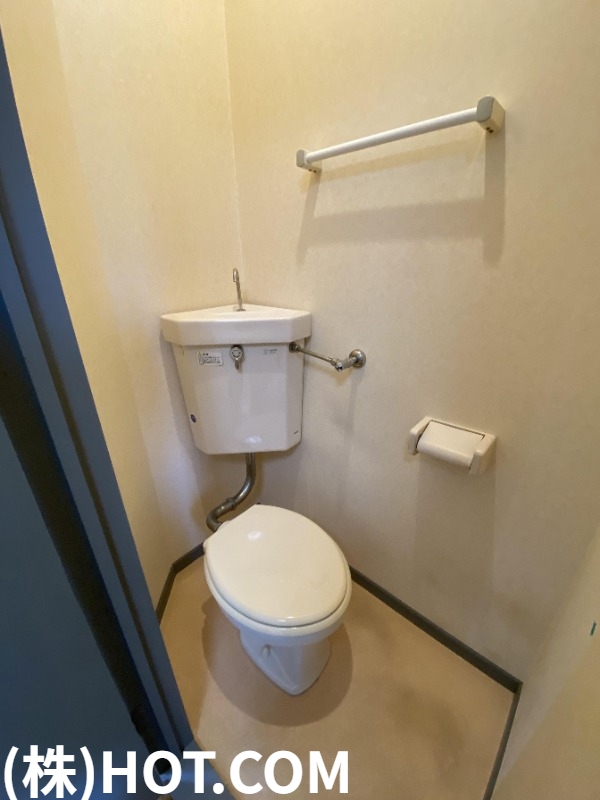 地下鉄七隈線 金山駅 徒歩14分 2階建 築27年のトイレ写真
