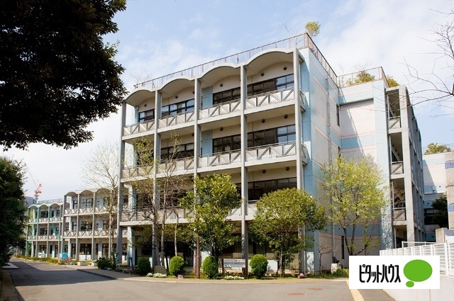 中学校　東京学芸大学附属竹早中学校（中学校）まで343m