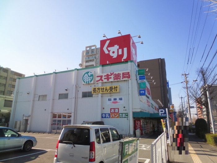 ドラックストア　スギ薬局高畑店（ドラッグストア）まで305m
