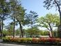 公園　岡崎公園（公園）まで756m