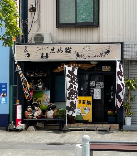 飲食店　まめ猫（飲食店）まで523m