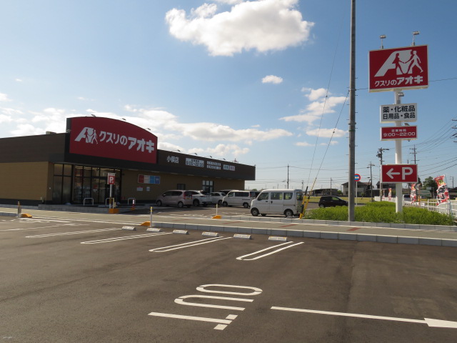 ドラックストア　クスリのアオキ小俣店（ドラッグストア）まで1053m