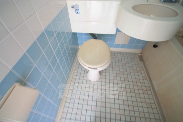 地下鉄長堀鶴見緑地線 門真南駅 徒歩13分 6階建 築39年のトイレ写真