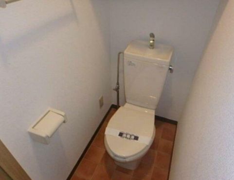 東京メトロ有楽町線 江戸川橋駅 徒歩4分 6階建 築27年のトイレ写真