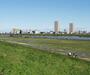 公園　瑞江緑地（公園）まで593m