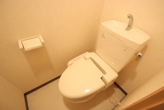 トイレ　※別号室の写真です