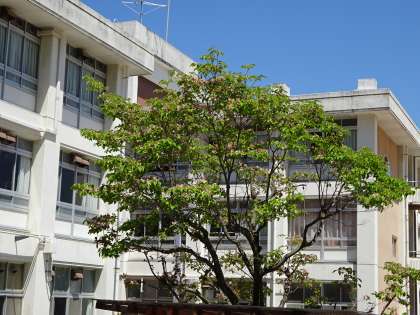 中学校　広島市立長束中学校（中学校）まで1000m