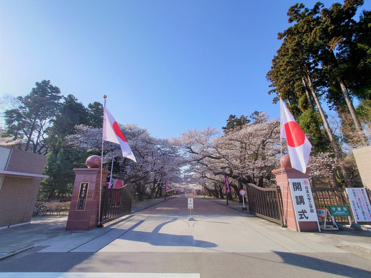 【コーポ高尾の大学・短大】