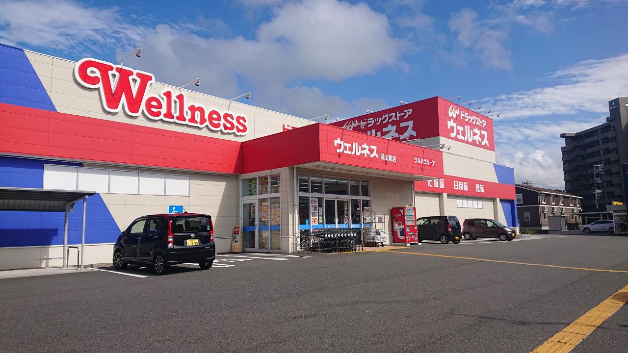 ドラックストア　ドラッグストアウェルネス湖山東店（ドラッグストア）まで1702m