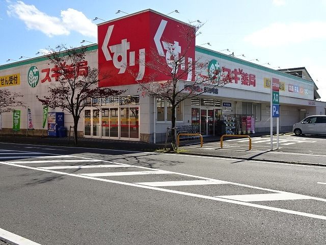 ドラックストア　スギ薬局　中河町店（ドラッグストア）まで1000m
