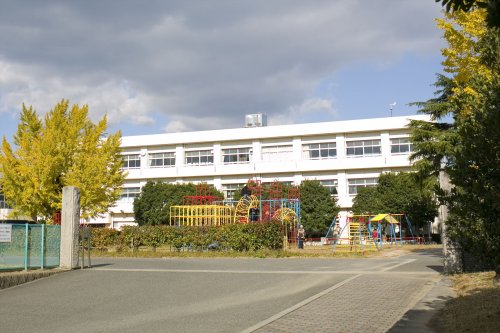 小学校　知多市立新知小学校（小学校）まで647m