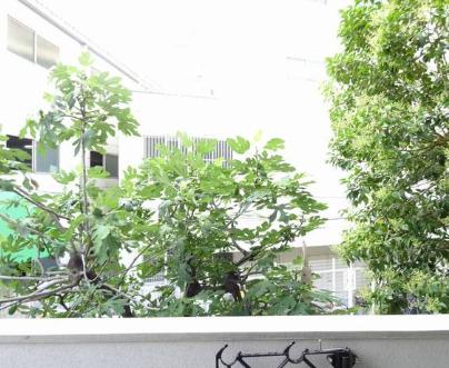 眺望　※同タイプの写真となり、実際のお部屋とは異なる場合があります