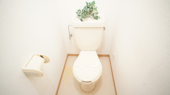 トイレ　トイレ