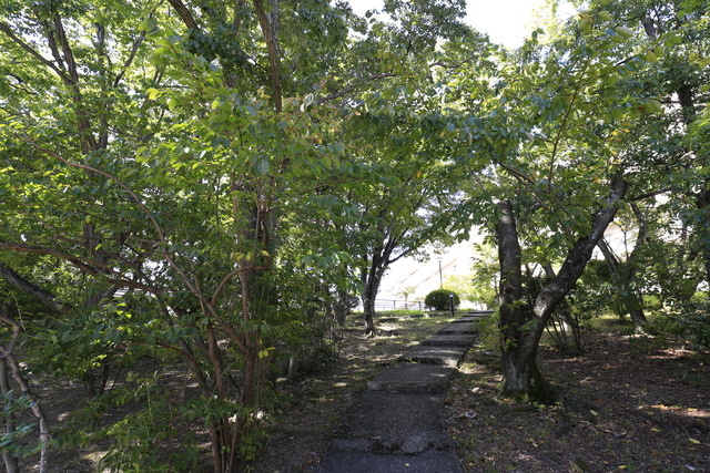 その他共有部分　敷地内