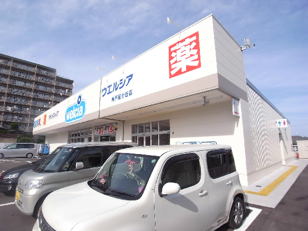 ドラックストア　ウエルシア星が丘店（ドラッグストア）まで313m