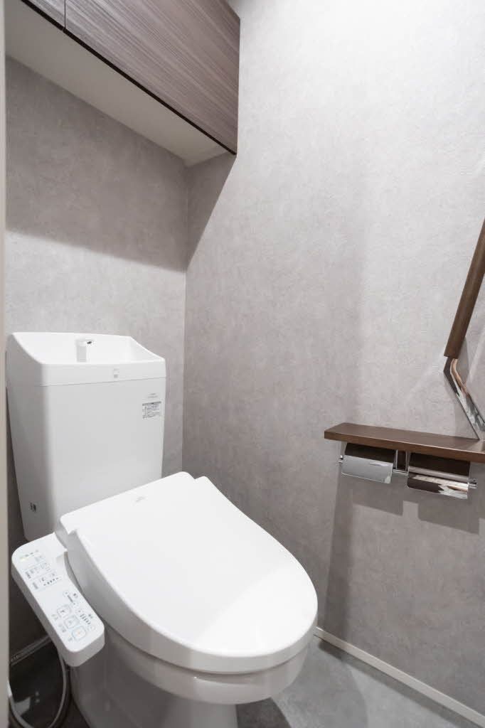 メゾンオリーブIIIのトイレ写真