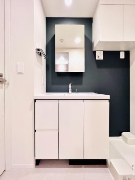 洗面設備　（別タイプ参考写真）ブリリアイスト駒込　北区西ヶ原1