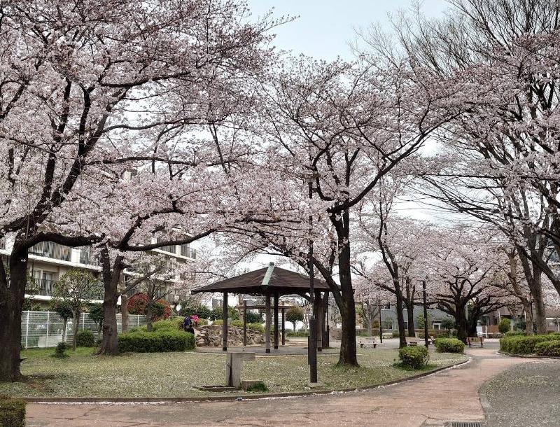 公園　鎌倉公園（公園）まで251m