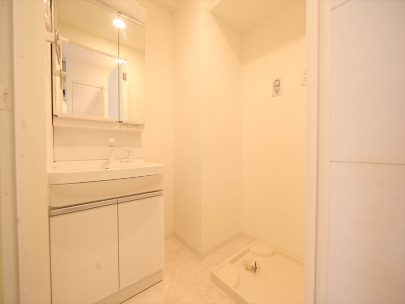 洗面設備　脱衣所　独立洗面台（シャンプードレッサー付）収納スペース有