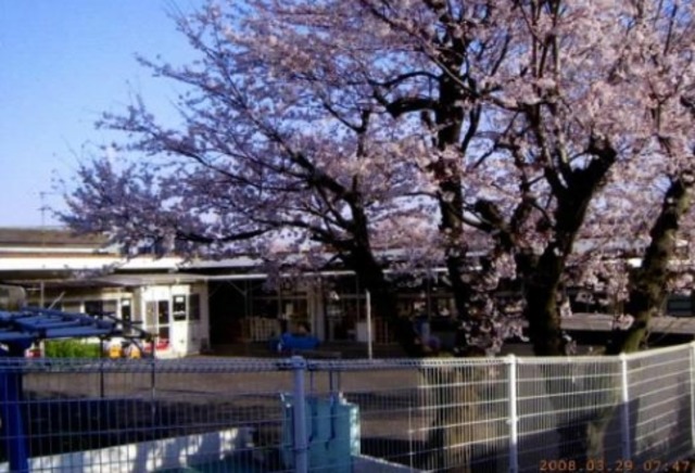 幼稚園・保育園　藤沢市明治保育園（幼稚園・保育園）まで973m
