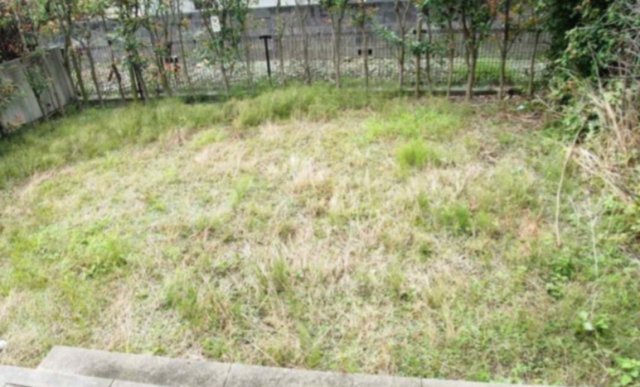 庭　現況を優先とします。