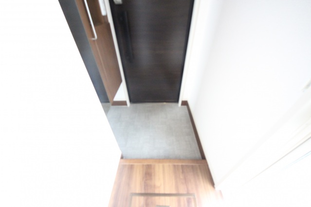 玄関　同系タイプ写真