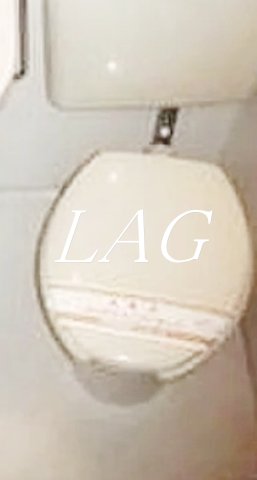 トイレ　トイレです。