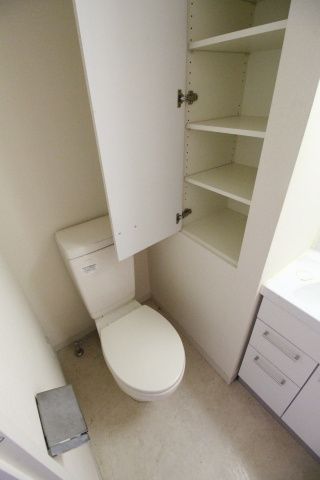 トイレ　（別タイプ参考写真）駒込レジデンス壱番館　豊島区駒込2