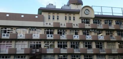 小学校　中央区立有馬小学校（小学校）まで443m