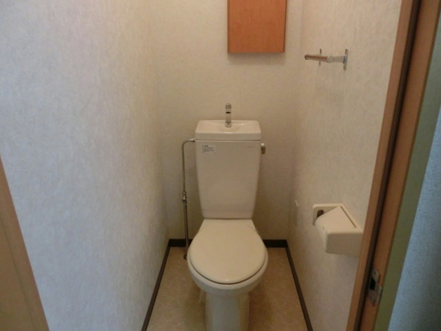トイレ　＊他室の写真です。