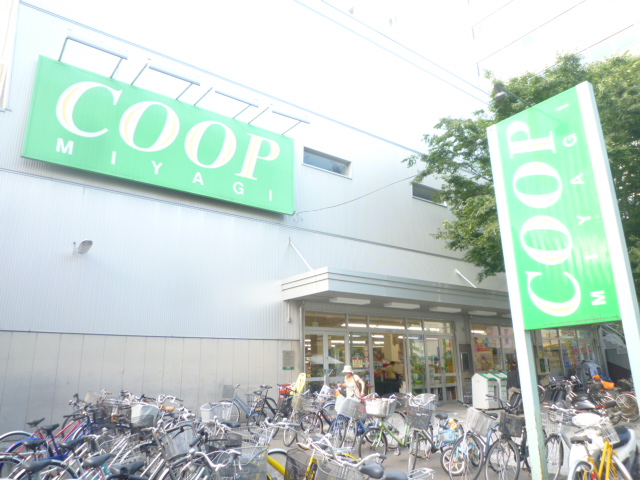 スーパー　COOP　MIYAGI柏木店（スーパー）まで255m